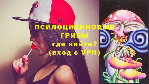 spice Надым