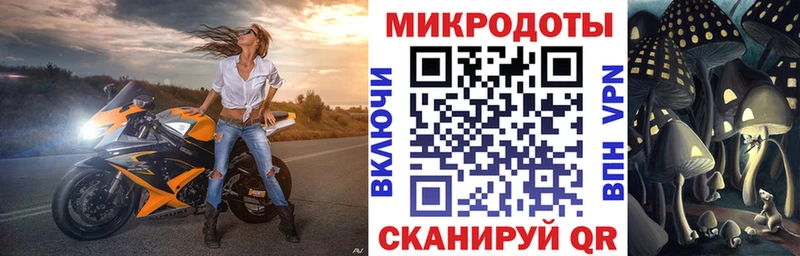 Псилоцибиновые грибы Psilocybe  ОМГ ОМГ сайт  Остров  наркота 